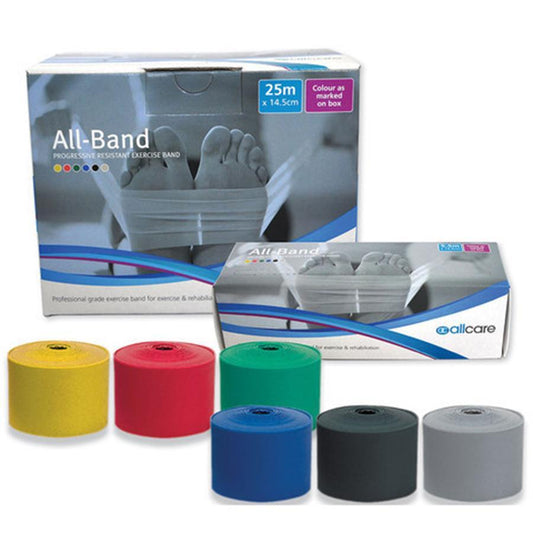 PREMIUM RESISTANCE EXERCISE BAND